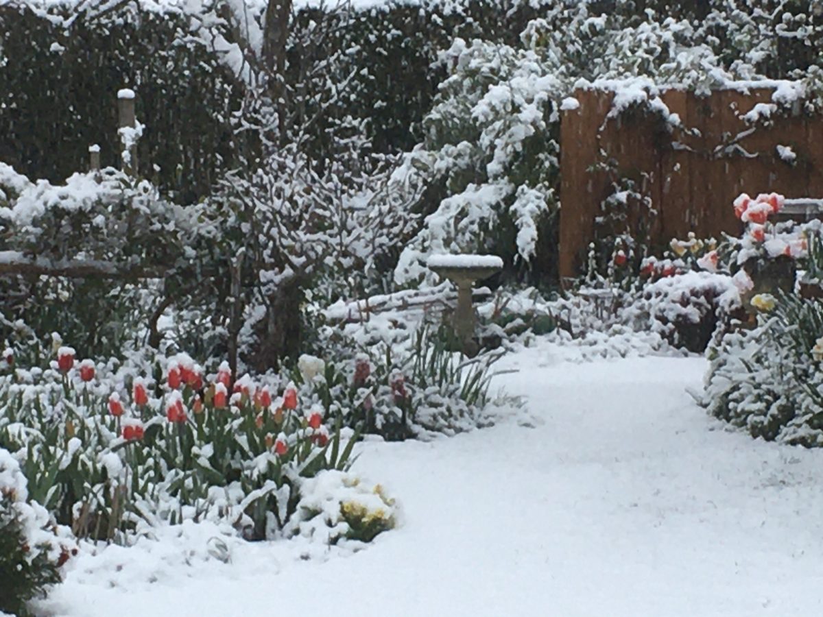 April Weather KIDLINGTON NEWS